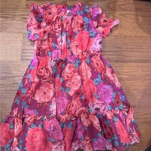 Wonder Nation Floral Dress - Red and Pink